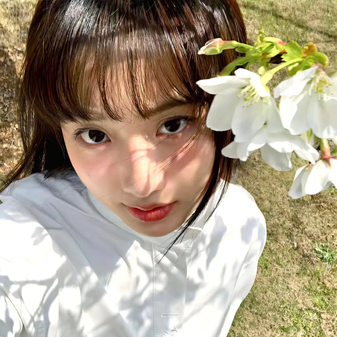 龙珠剧场版：迈向最强之道